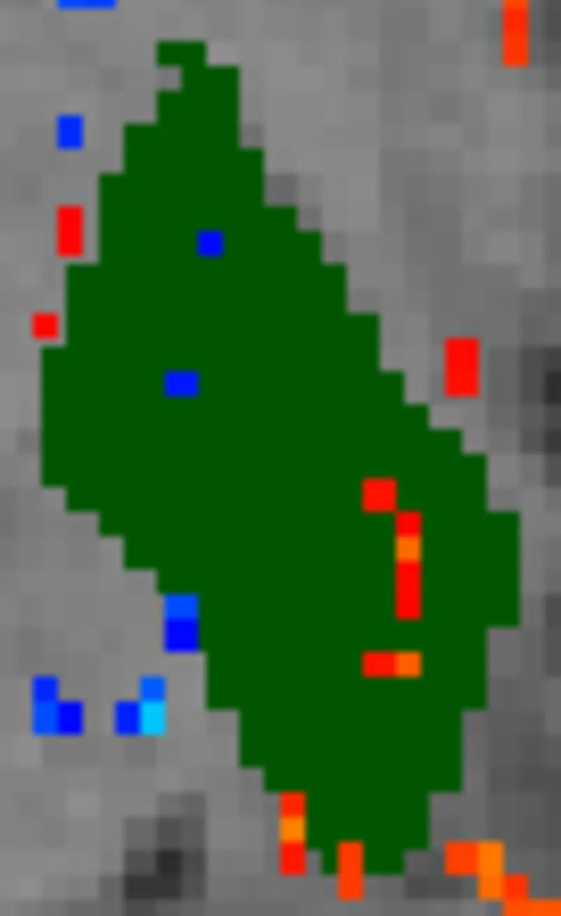 The image is now cropped